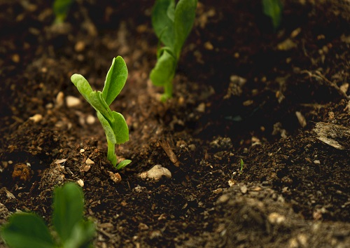 1644825073143970.png image.png