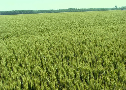 1646899897183009.png image.png