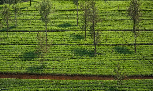 1651210038103013.png image.png