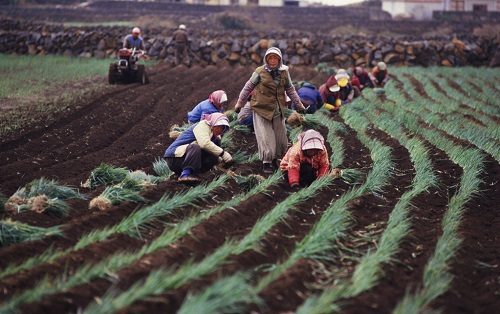 1660110240545148.png image.png