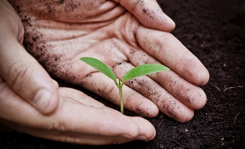 1662616232172231.png image.png