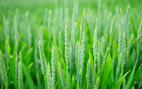 1668742009152591.png image.png