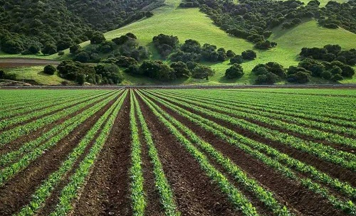 1675230228345394.png image.png