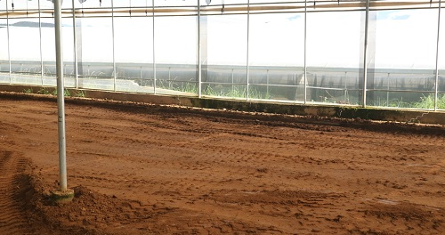 1676355688115753.png image.png