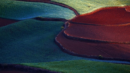 1677051115132385.png image.png