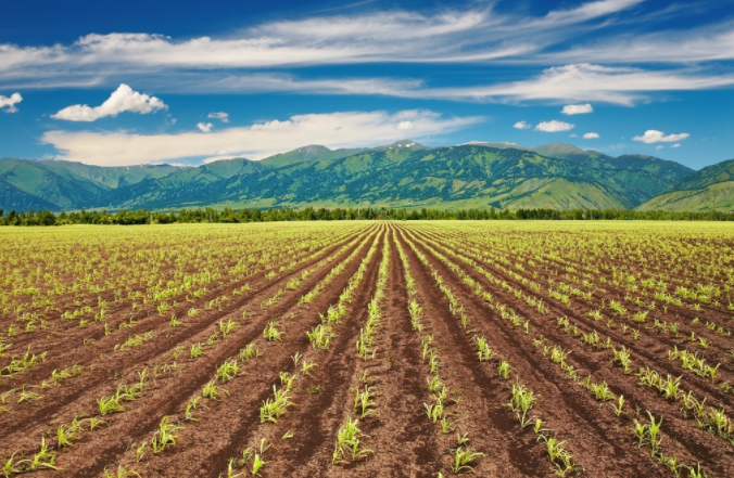 1678764163115644.png 1678764163115644.png