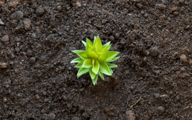 1681109446635307.png 土壤水勢測定儀