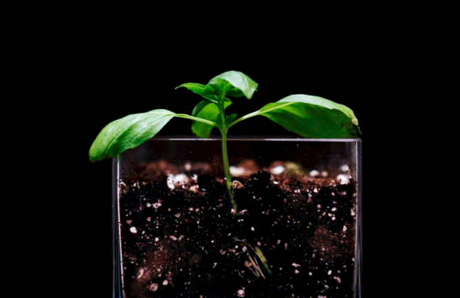 1681890236159301.png 土壤養分速測儀