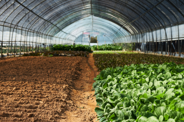 1683185049185106.png 土壤測量儀器