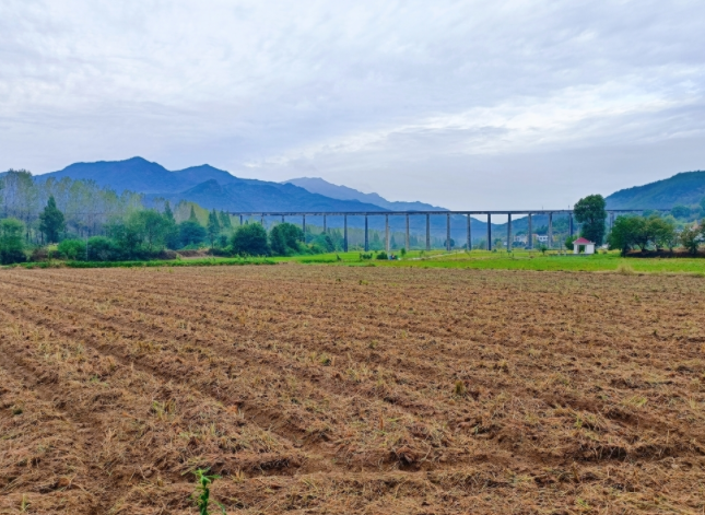 1683697042200874.png 1683697042200874.png